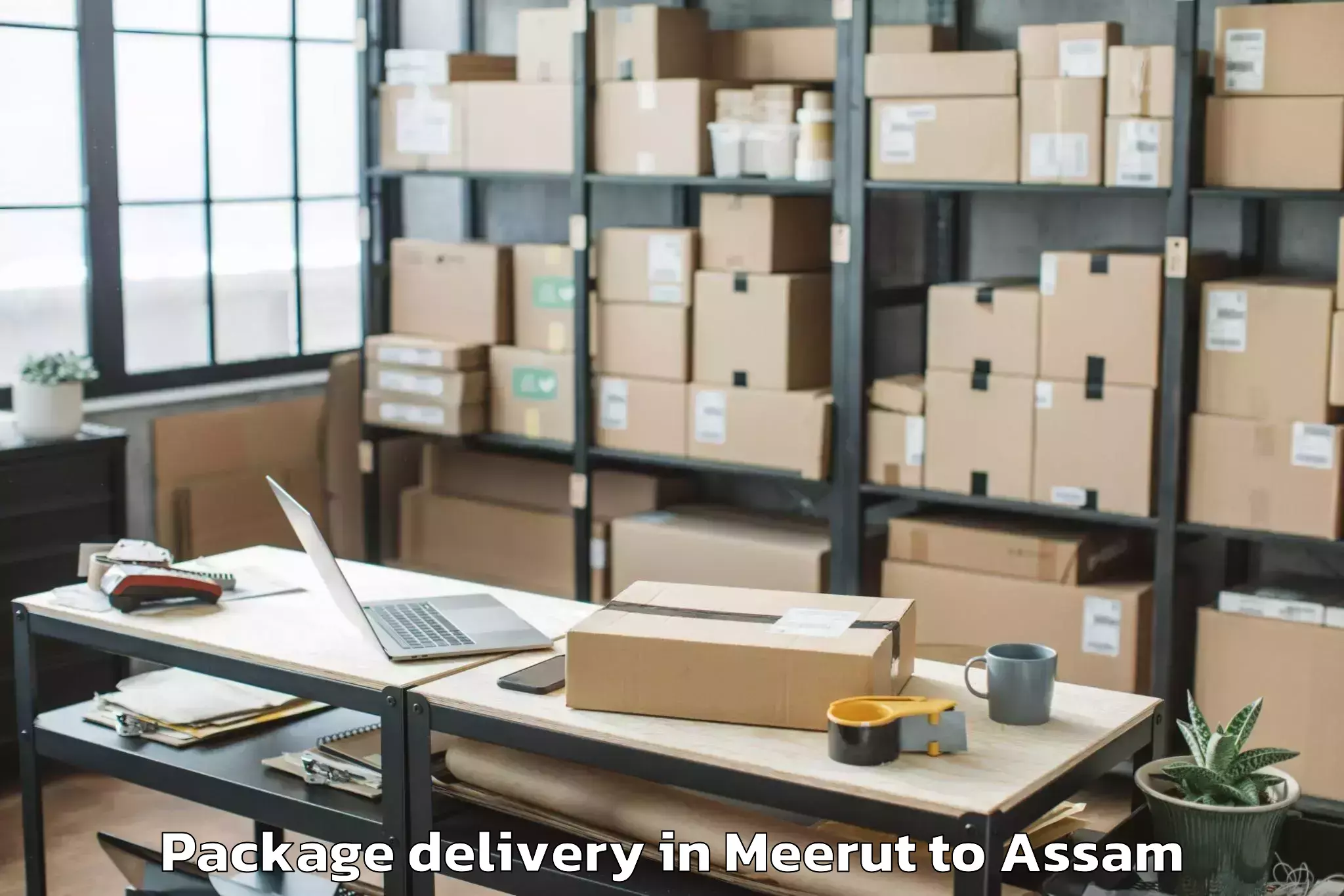 Affordable Meerut to Kabuganj Package Delivery